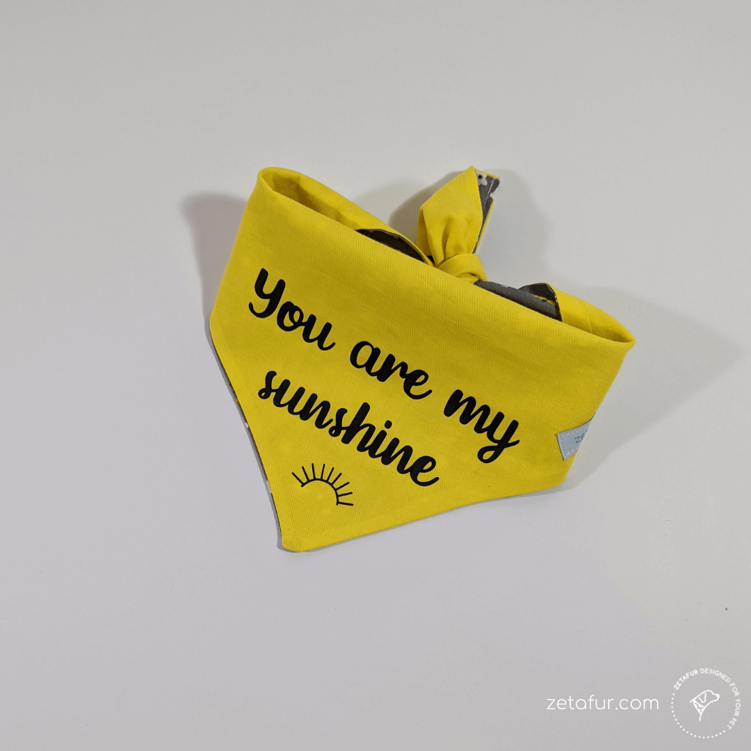 You are my sunshine bandana