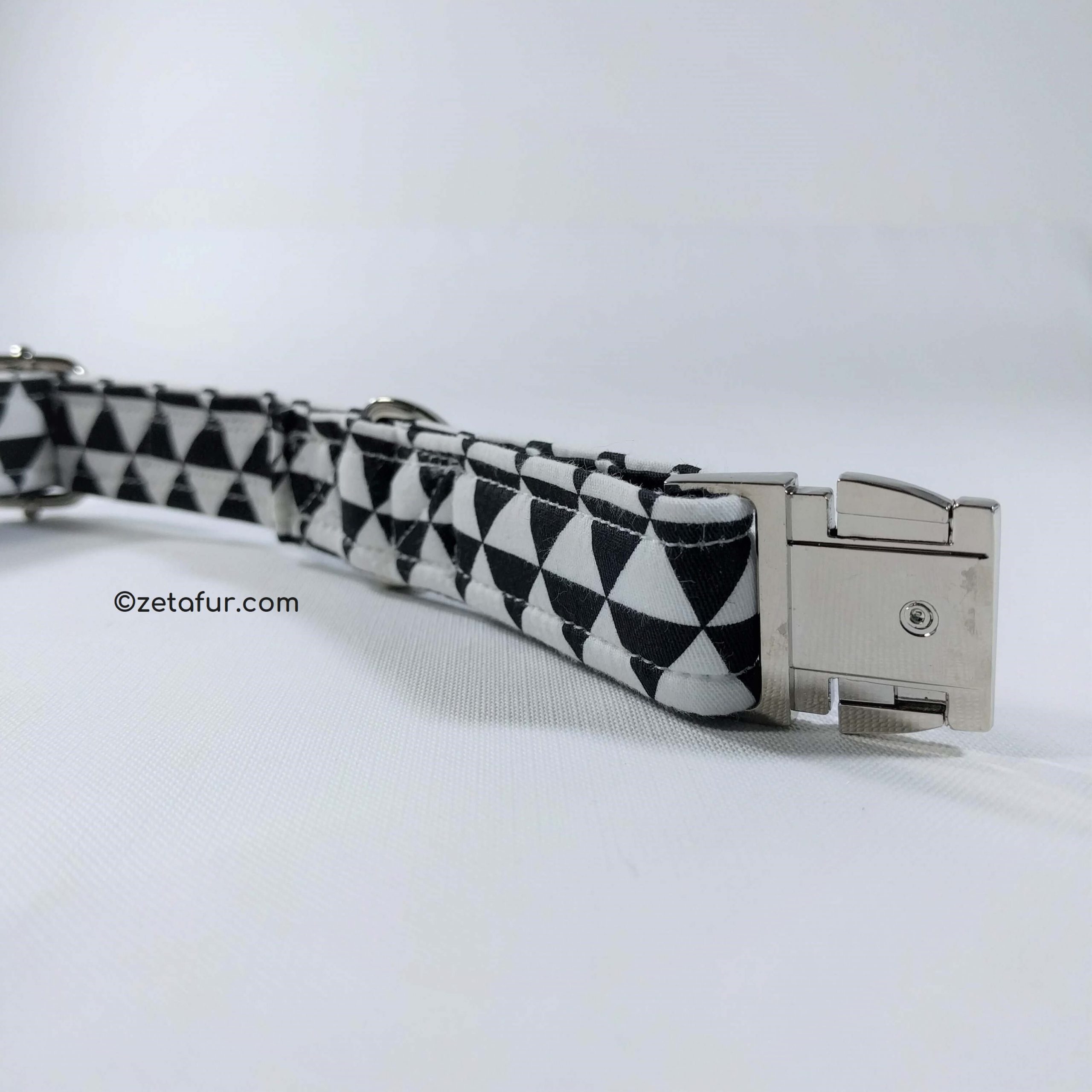 dog collar buckle 2