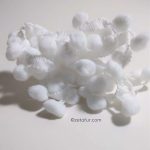 White big pompom