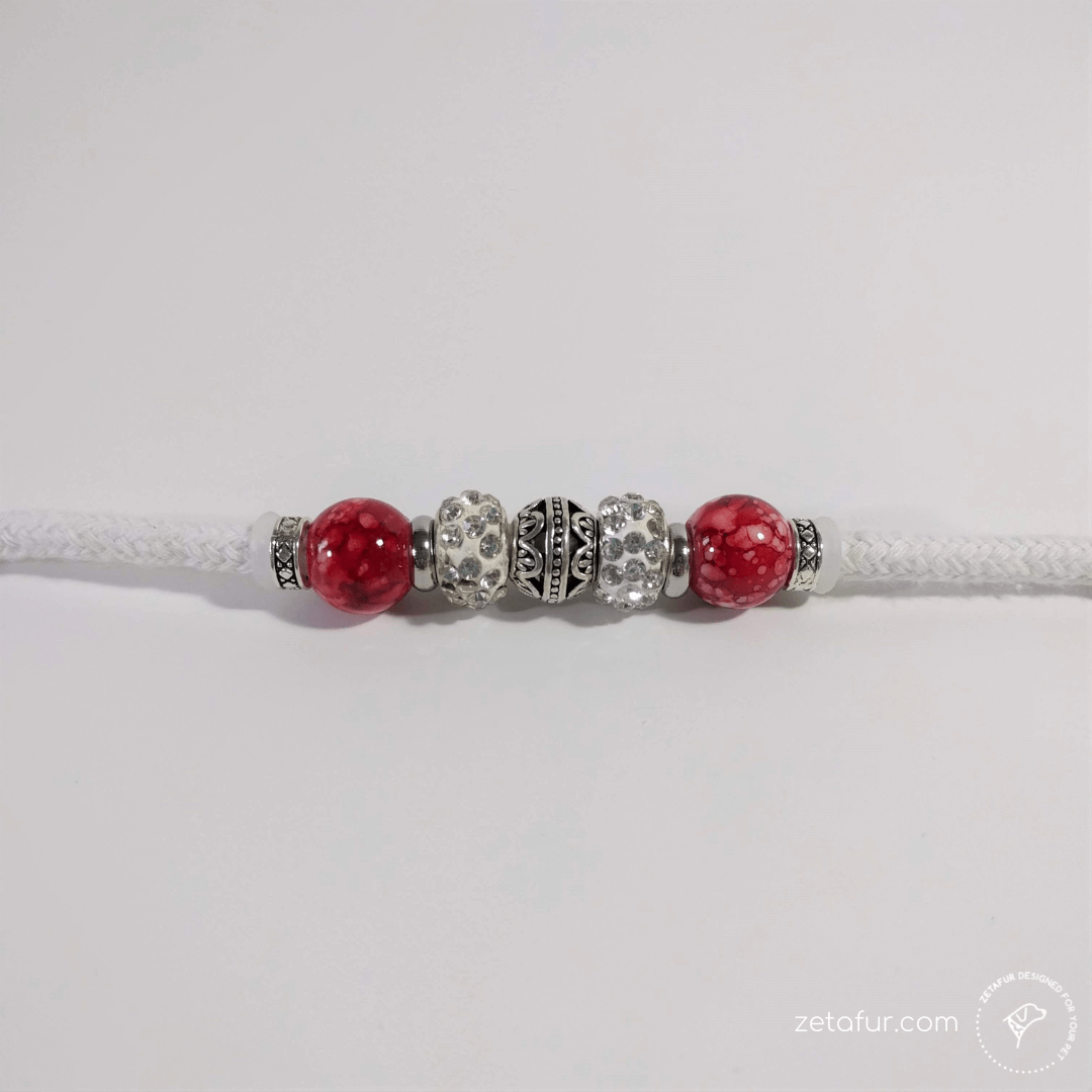 dog show handmade leash (2) RED