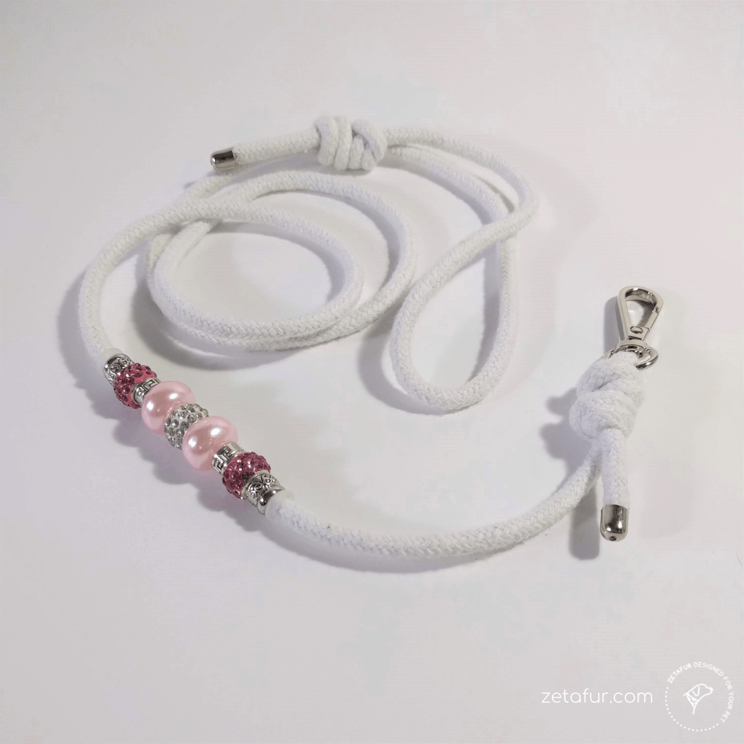 leash for dog show leash for dog show