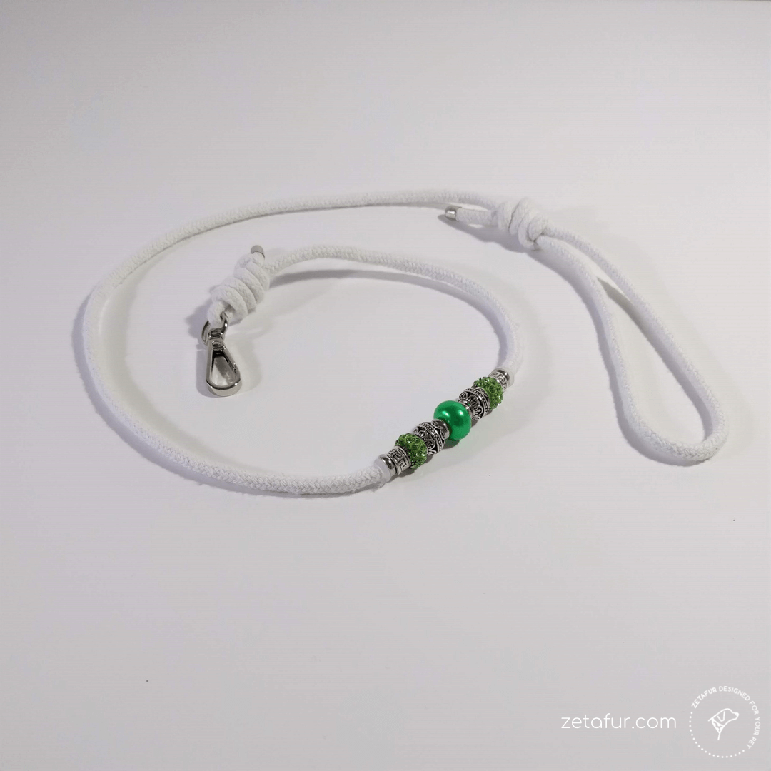 leash for dog shows