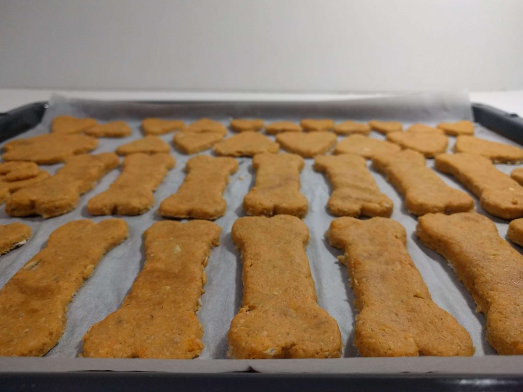 treats for dogs