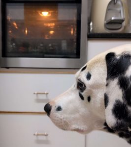 waiting for cookies