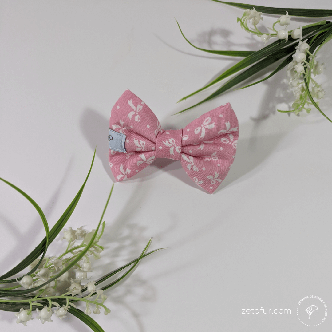 pink bowtie love day pink bowtie love day