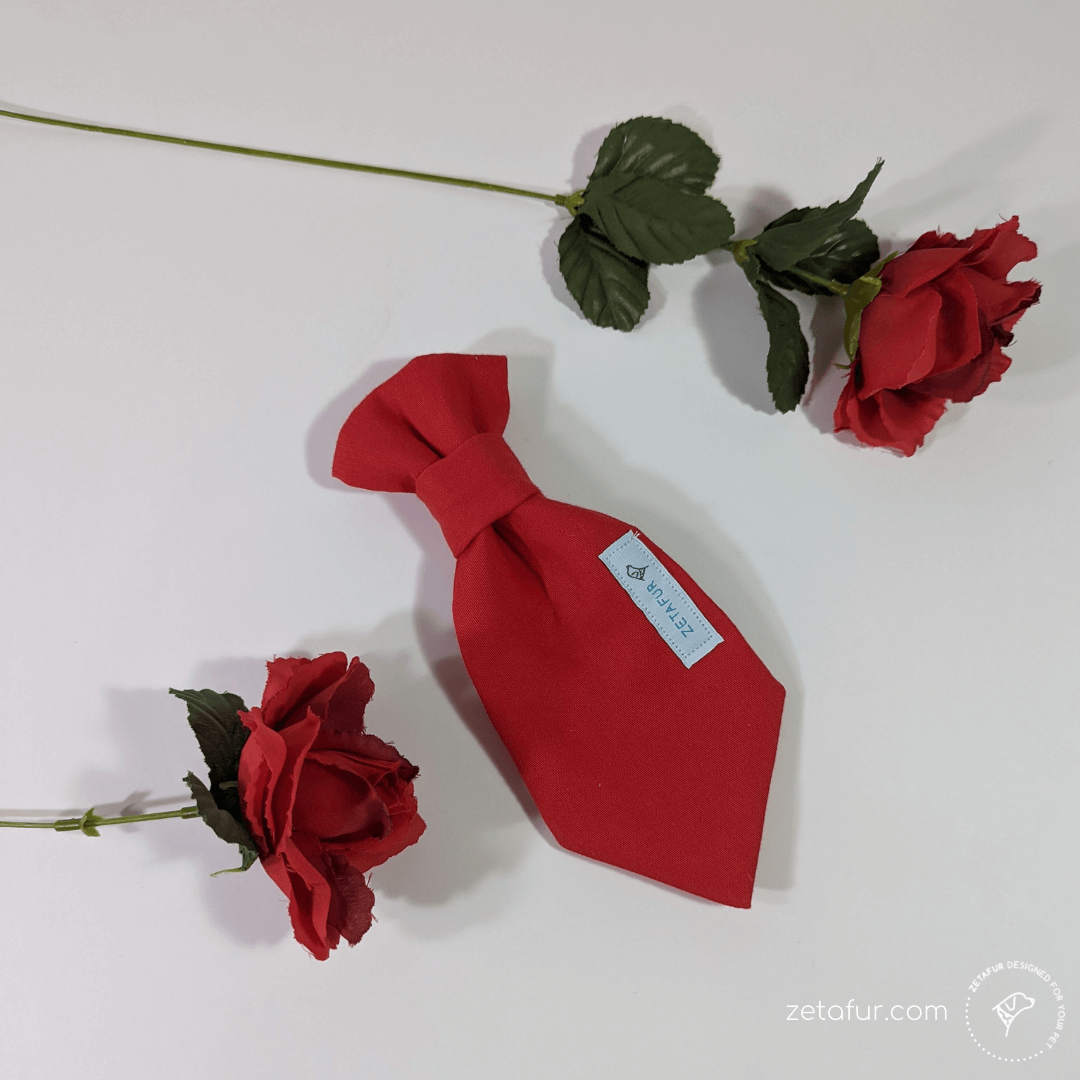red tie valentines day red tie valentines day