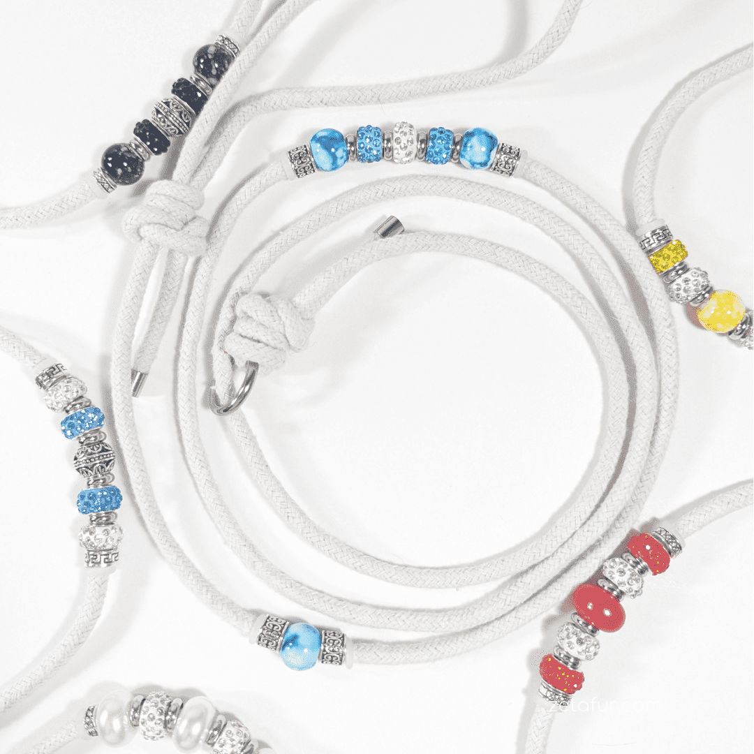 Dog show leash