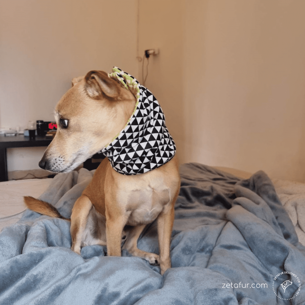 Dog neck warmer