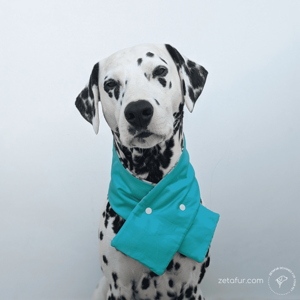 Dog scarf