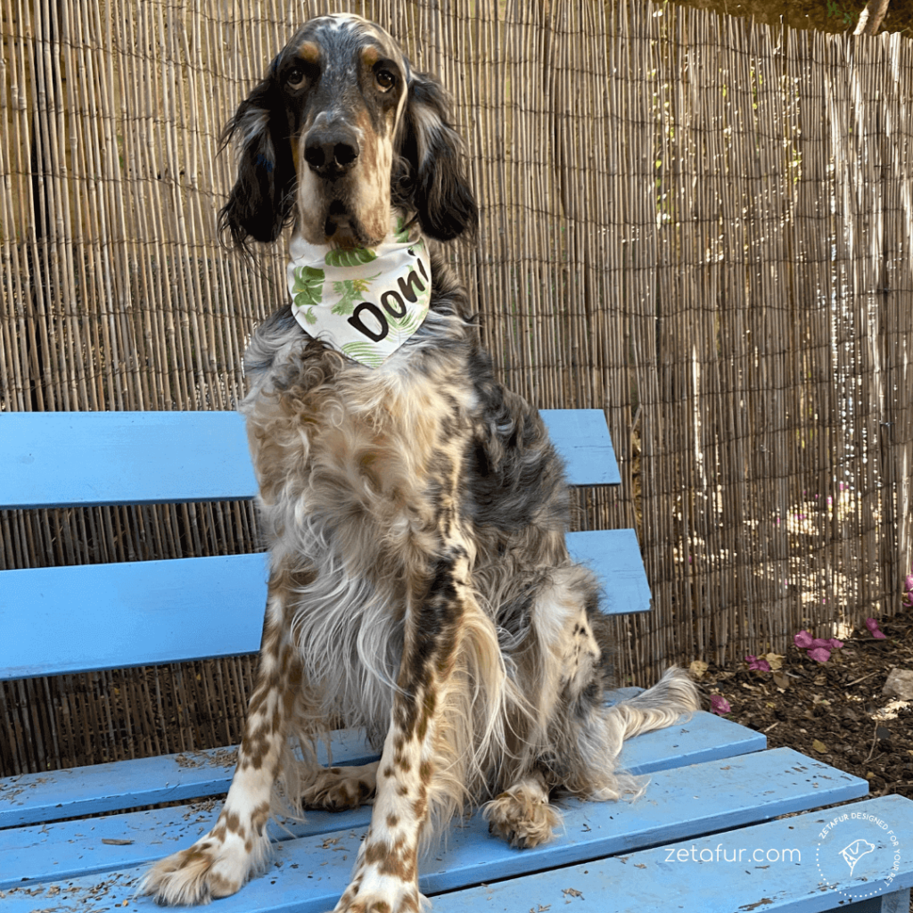Doni modeling bandana