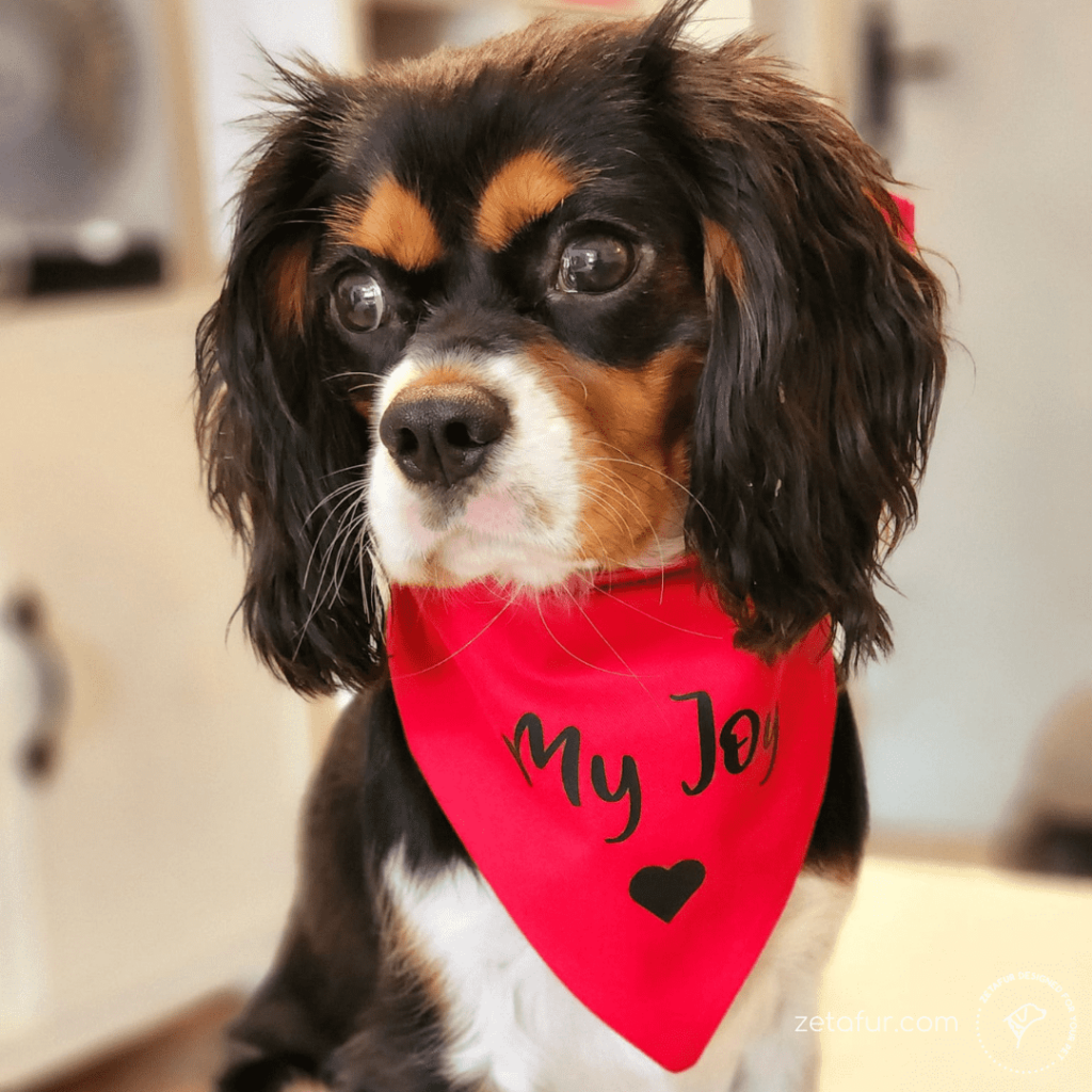 My Joy bandana
