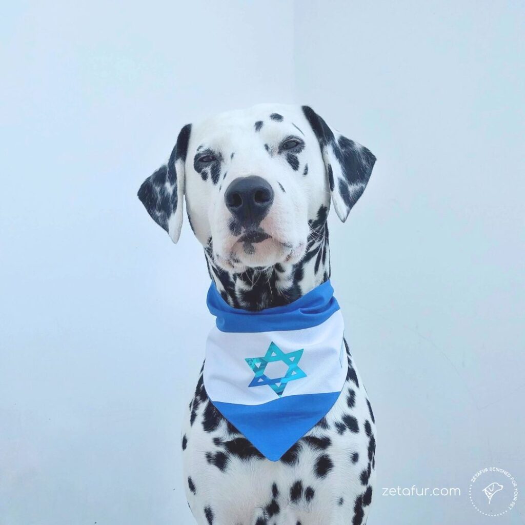 Israel pets bandana zetafur 100% cotton