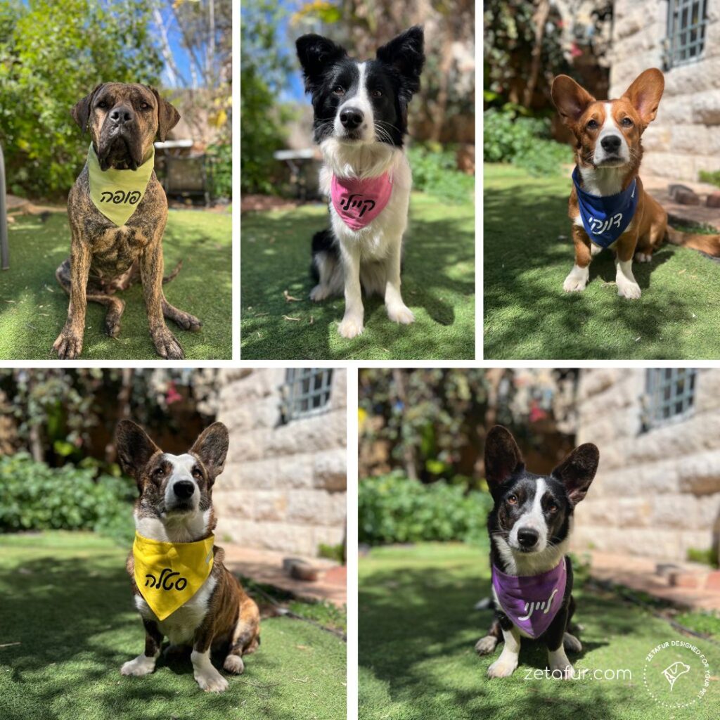 Personal caption Dogs bandana 100% cotton