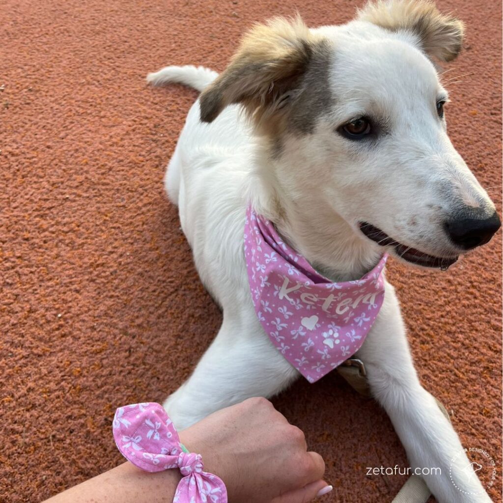 Personal caption bandana with matching hair Band