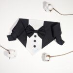 Classic bow tie bandana
