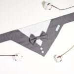 Special bow tie bandana