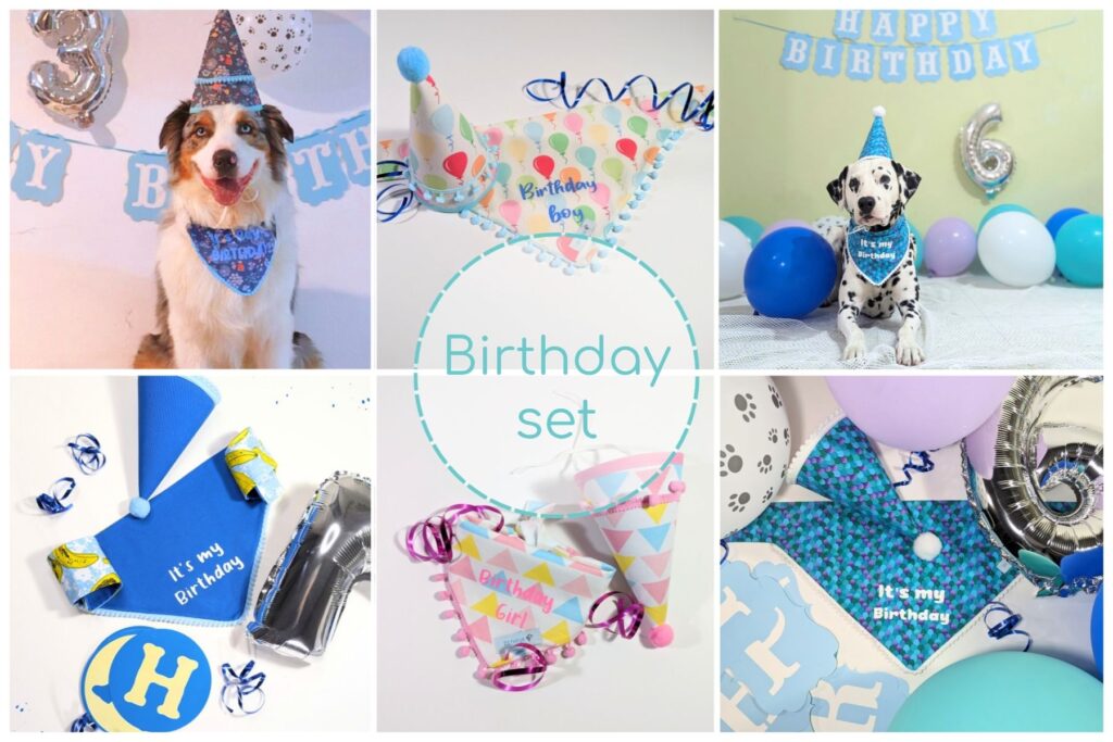 Birthday set for dogs and cats 100% cotton handmade by ZETAFUR