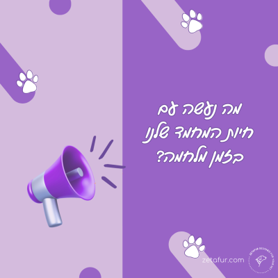 מה לעשות בזמן אזעקה