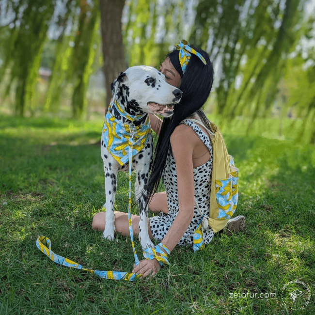 Dog and humam set