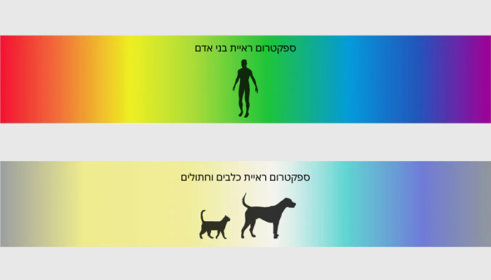Untitled design (1)